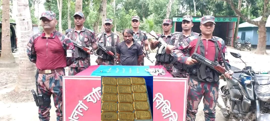 শার্শা সীমান্ত থেকে ১৫টি স্বর্ণের বারসহ আটক একজন