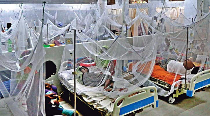 ৪৪০ ডেঙ্গু রোগী হাসপাতালে ভর্তি