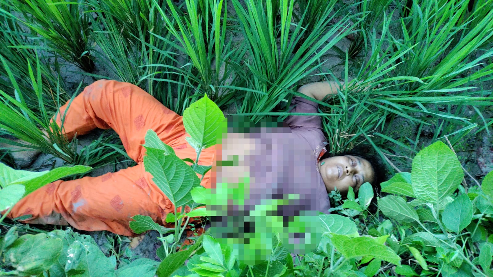 যশোরের সাবেক এক নারী ইউপি সদস্যের লাশ উদ্ধার