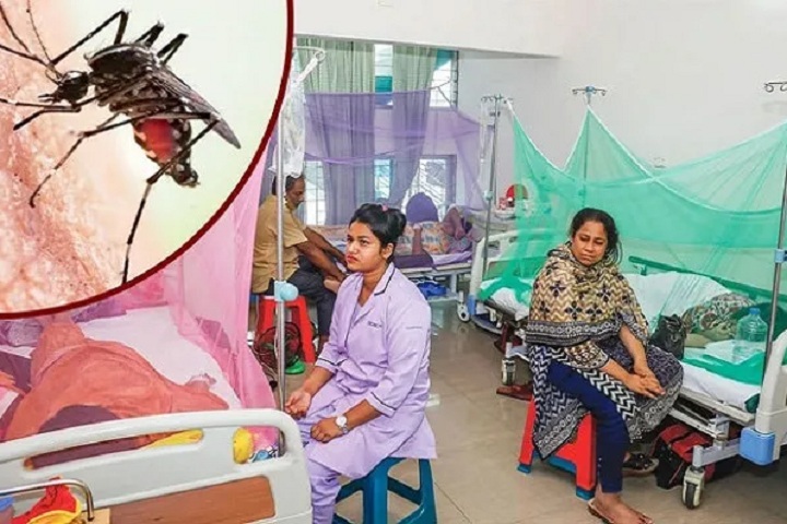 ডেঙ্গু সংক্রমণ পরিস্থিতি জটিল হচ্ছে