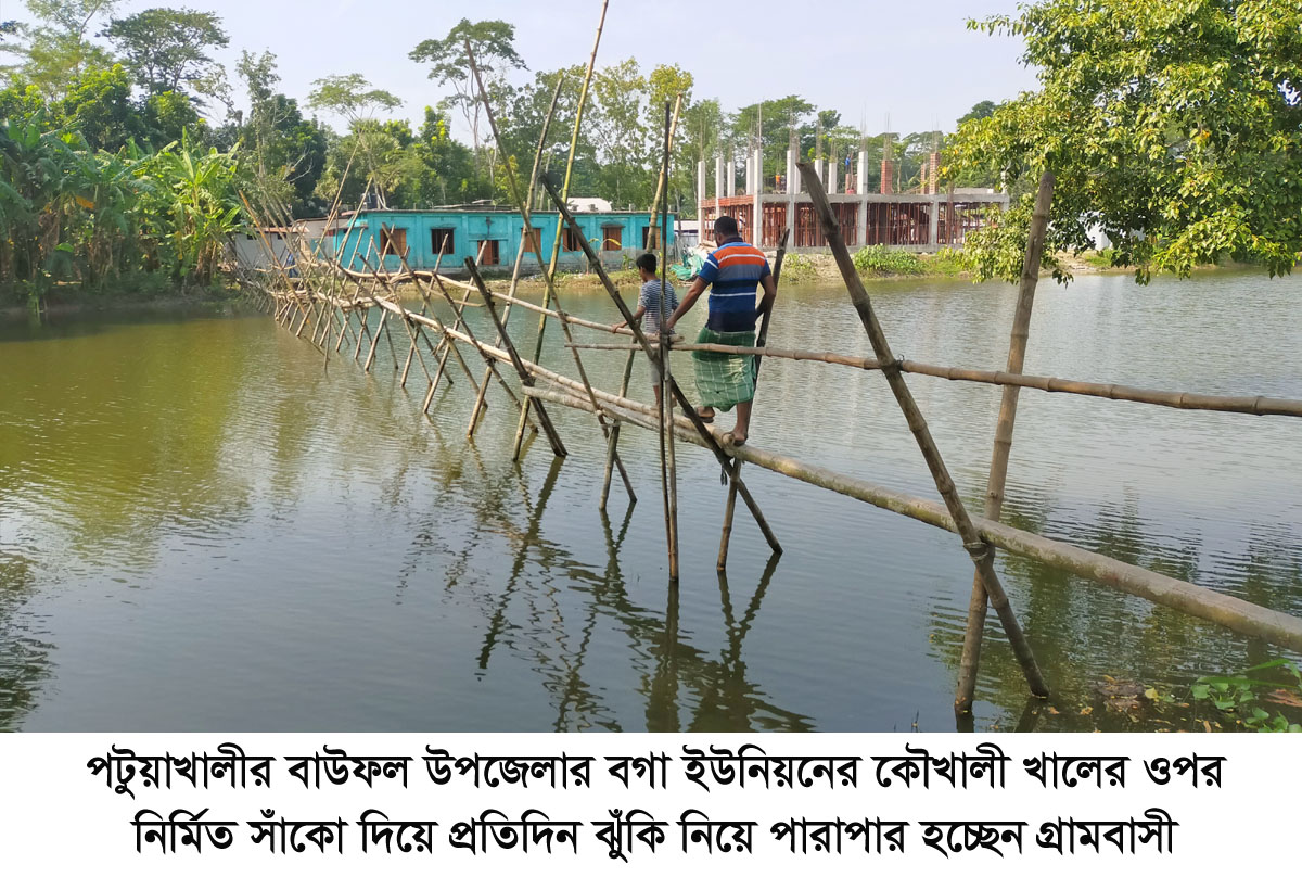 বাউফলে  ঝুঁকি নিয়ে বাঁশের সাঁকো পারাপার